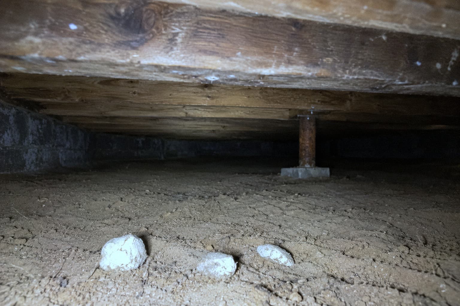 A rendering of a very low crawlspace, the joists a short reach above the bare clay and a steel post at the back